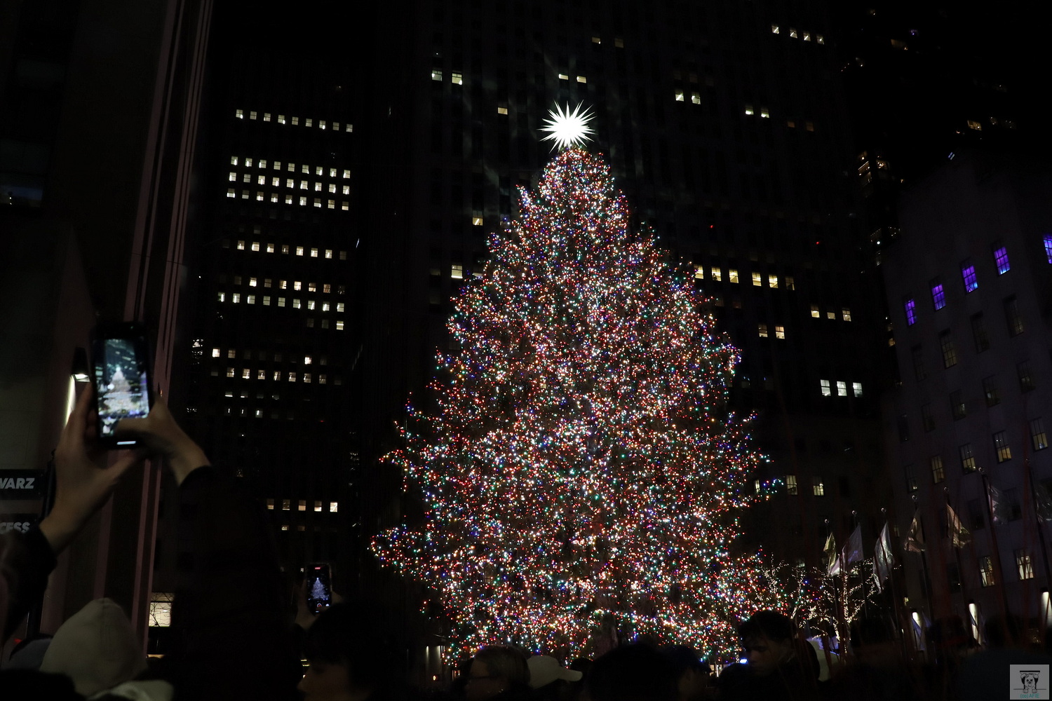 Christmas Tree Rockefeller Center