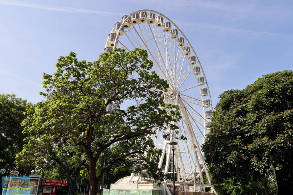 Derzeit steht am Kölner Zoo ein Riesenrad.
