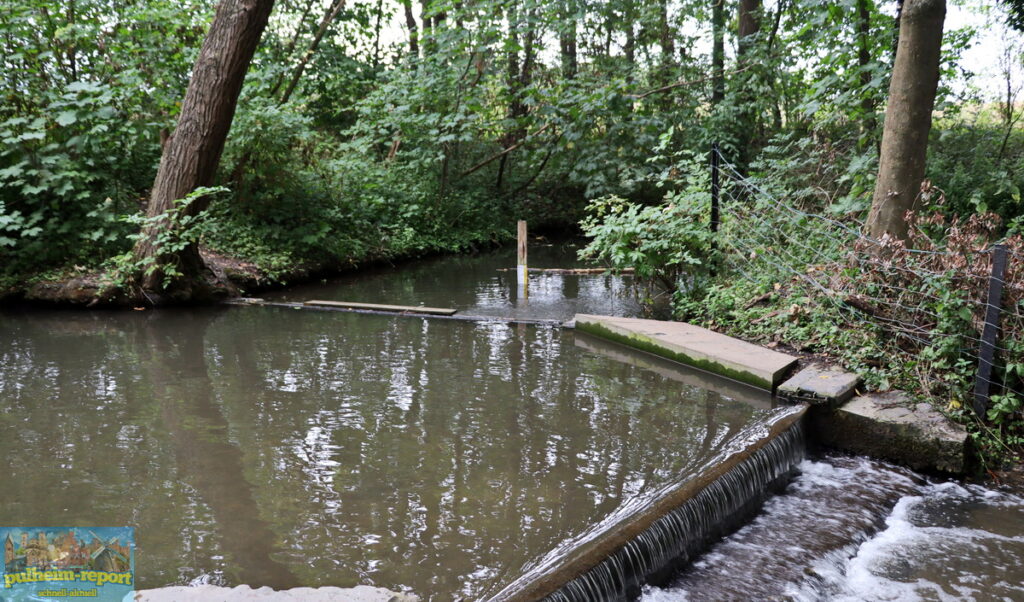 Überall im Naturschutzgebiet Große Laache sind Pegel, an denen die Wasserstände abgelesen werden können.