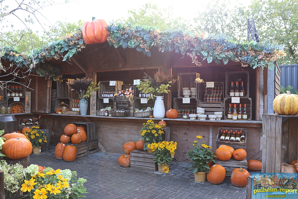 Auch beim Einkaufen dreht sich alles um das Thema Herbst, Halloween und Kürbisse.