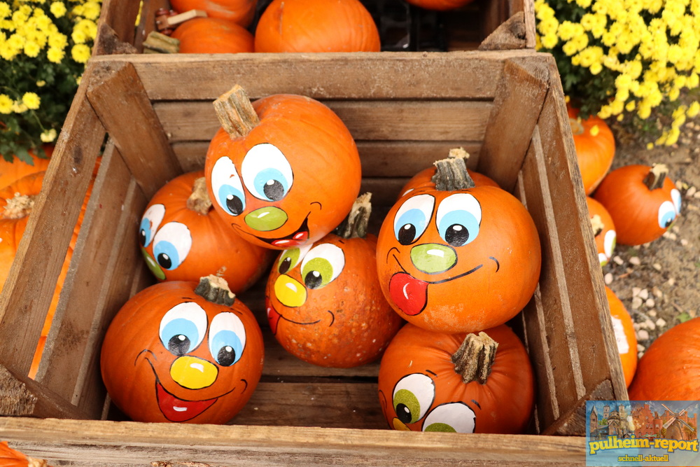 Auch beim Einkaufen dreht sich alles um das Thema Herbst, Halloween und Kürbisse.
