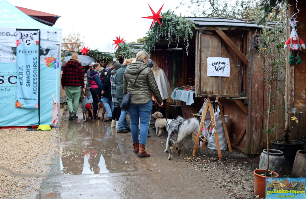 Viele Hunde und ihre Menschen besuchten den Hundeweihnachtsmarkt in Hürth