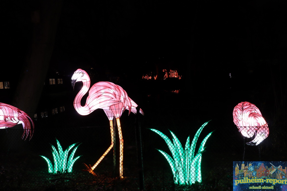 Flamingos sind auch zu sehen.