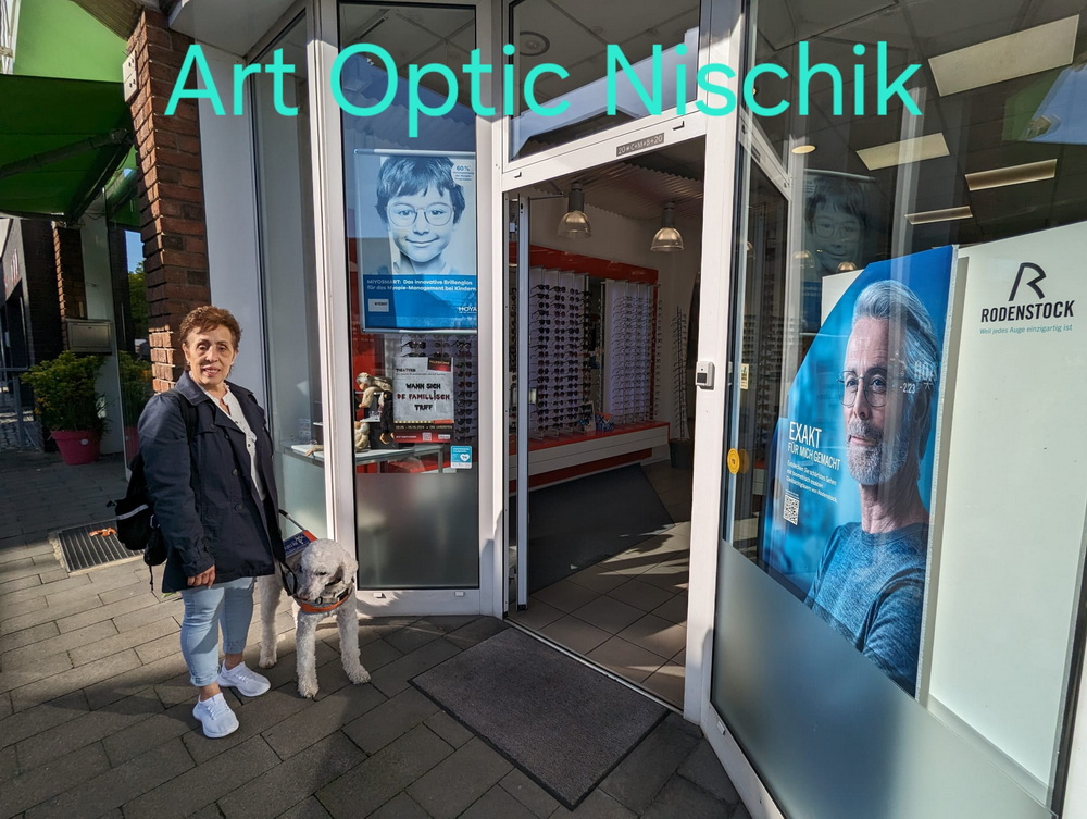 Art Optic Nischik