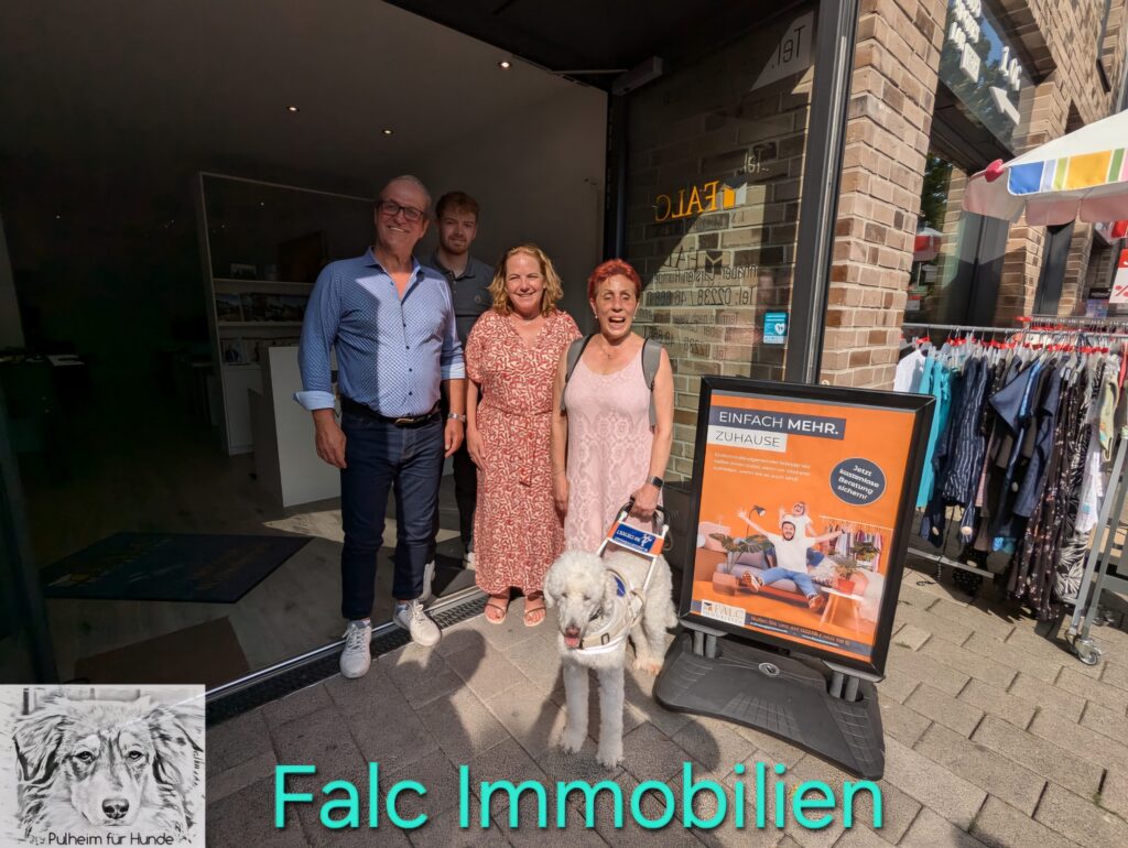 Falc Immobilien