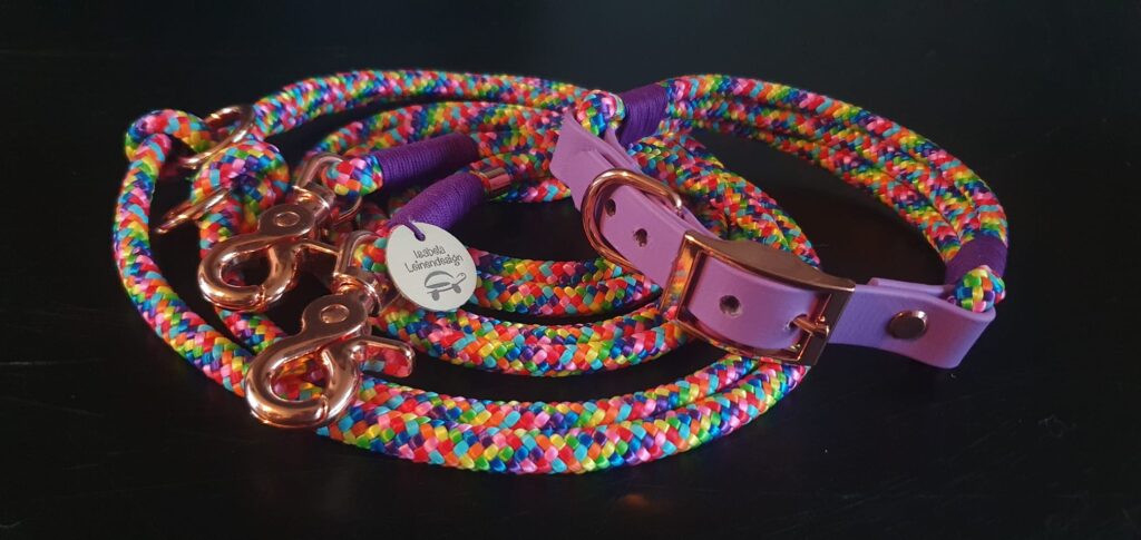 Hundeleine und Halsband im Regenbogendesign 