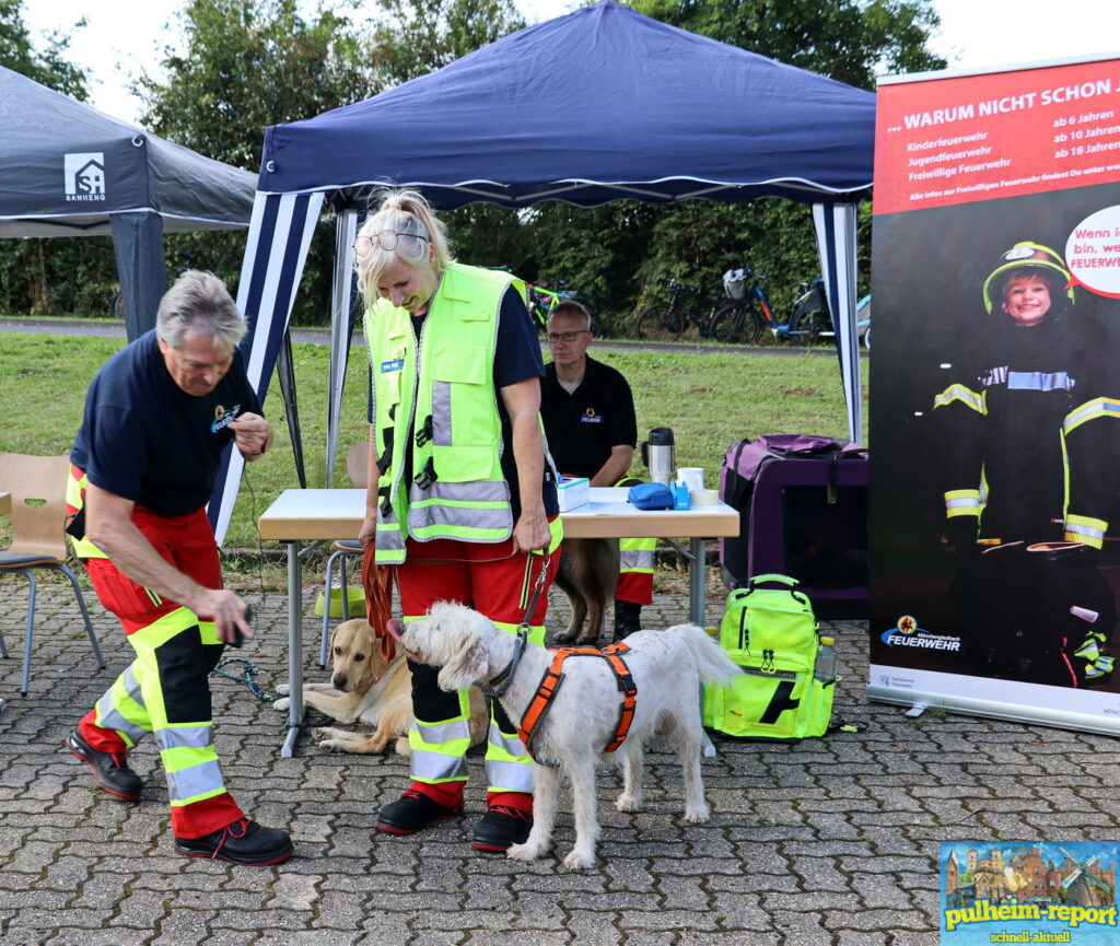 Die Rettungshunde-Staffel führte ihre wichtigen Fähigkeiten vor.