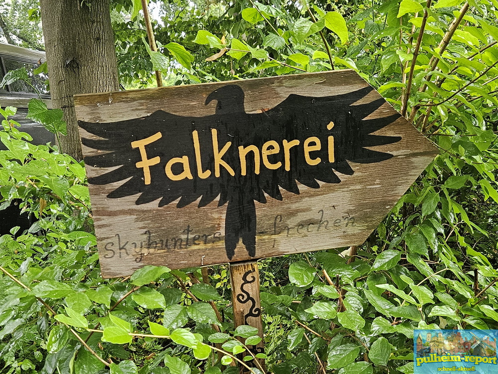 Falknerei Skyhunters in Nature Frechen