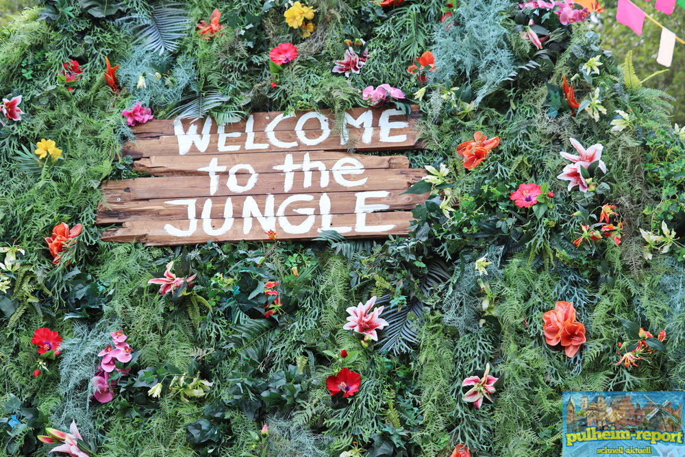 Welcome to the jungle!