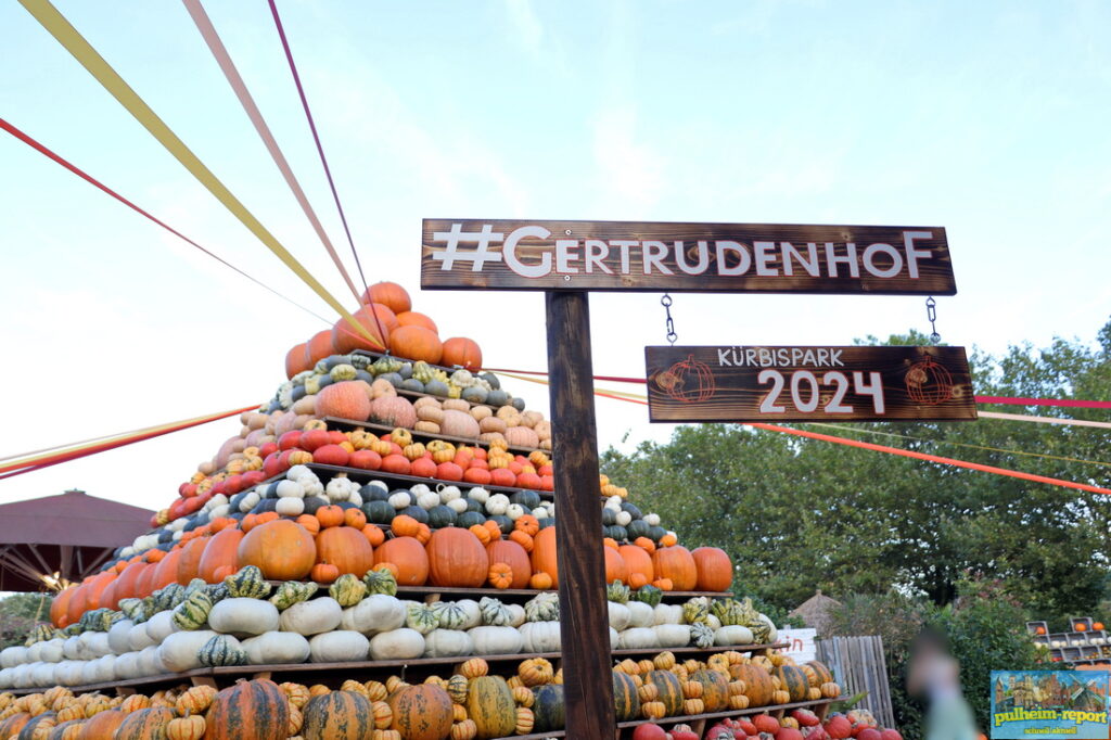 Der #Gertrudenhof Kürbispark 2024