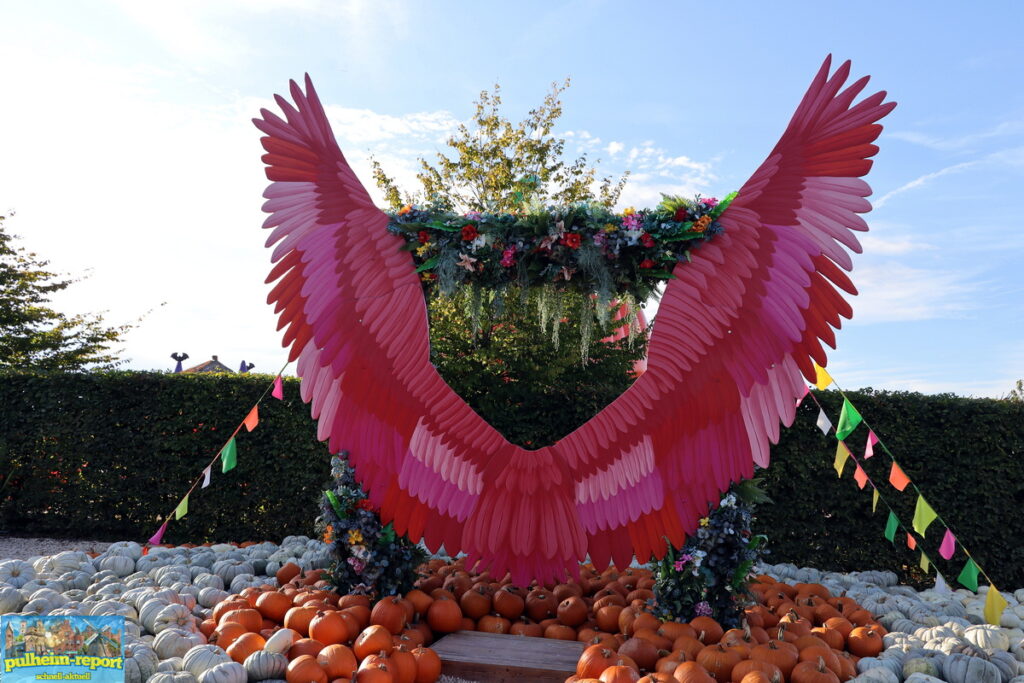 Bunte Flügel mit Kürbis Deko