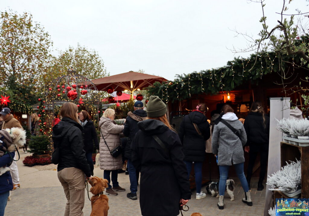 Viele Hunde waren mit Herrchen und Frauchen zum Hundeweihnachtsmarkt gekommen.