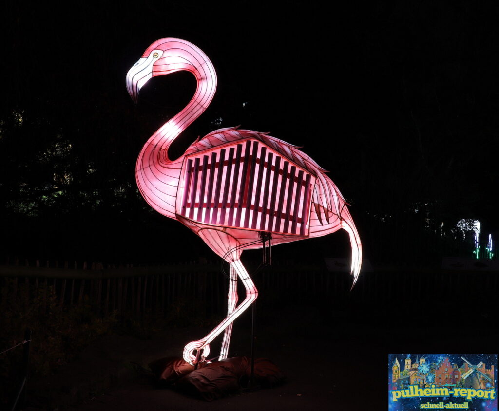 Klangspiel Flamingo