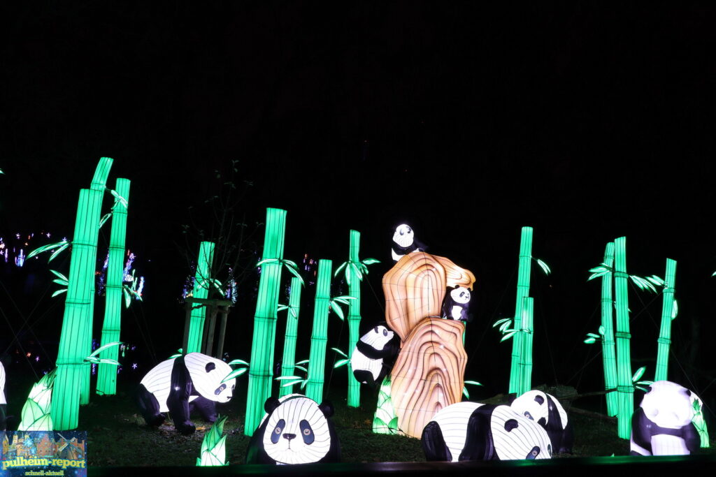 Zu China Lights gehören natürlich Pandas.