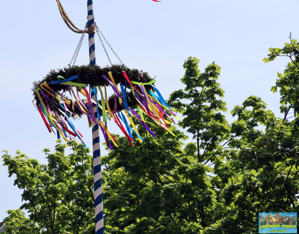 Die Tradition des Maibaumaufstellens wird im Pulheimer Stadtgebiet von den Vereinen gepflegt.