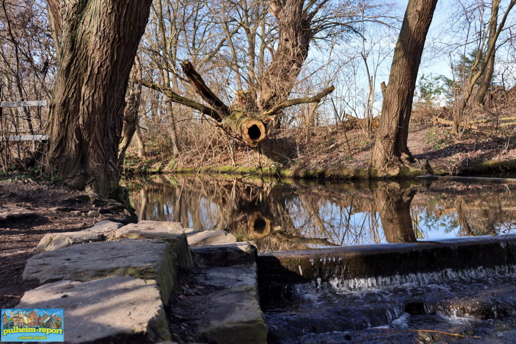 Die Große Laache ist ein wunderschöner Erholungsort in Pulheim