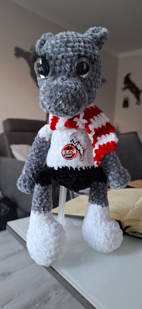 1. FC Köln Fan