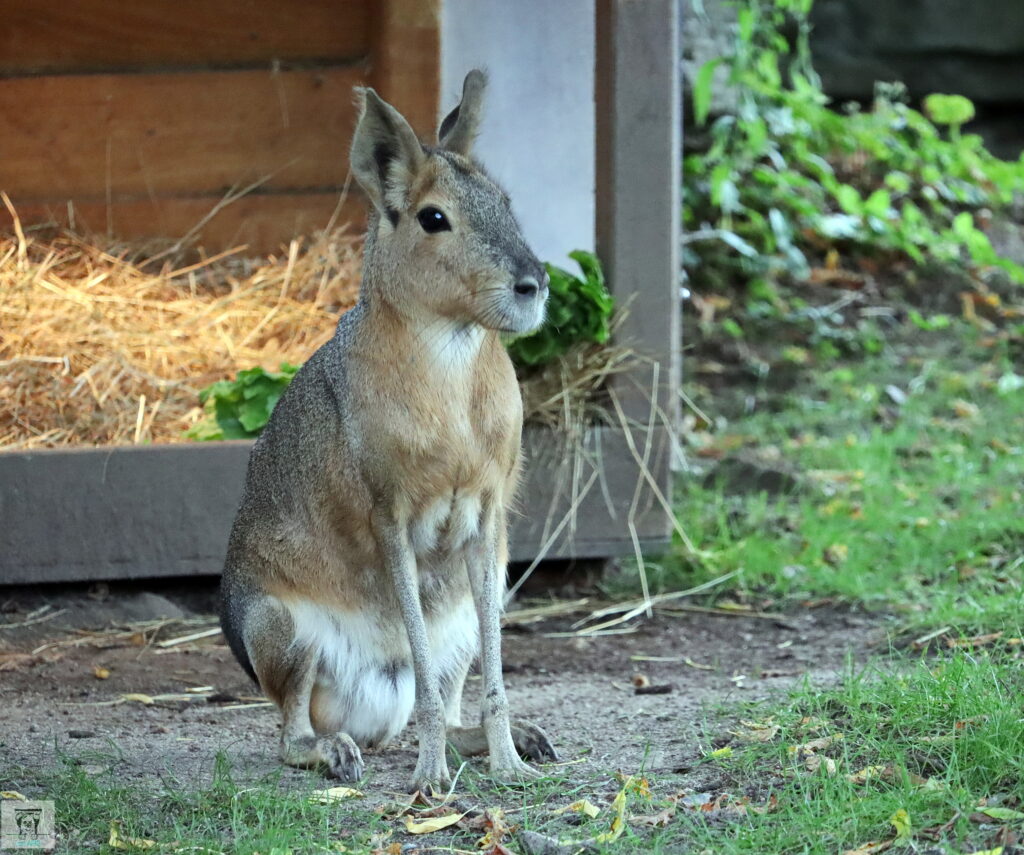 Ich habe alles im Blick!