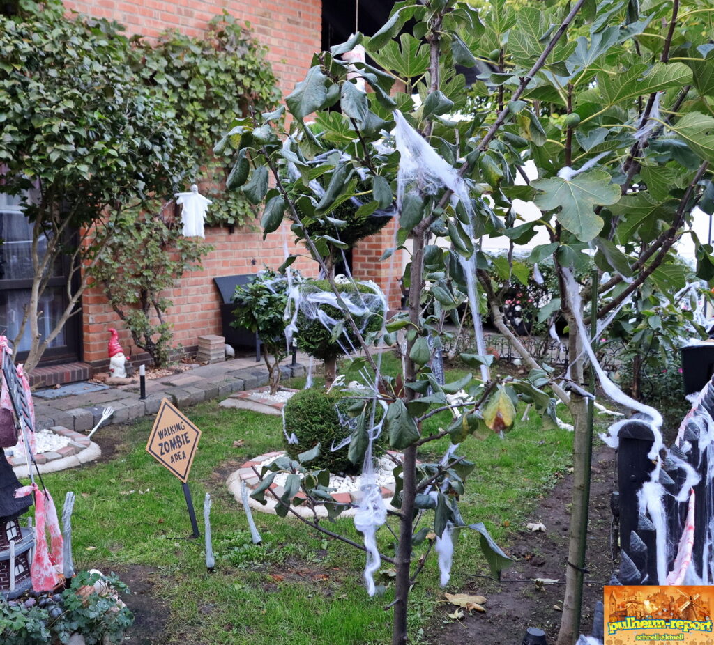 Das ist schon im Hellen gruselig....