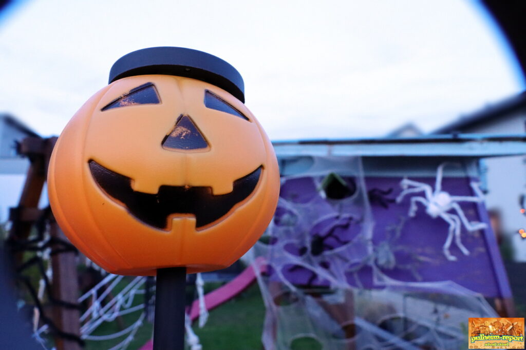 Der Kürbis lädt zum Gruseln ein.