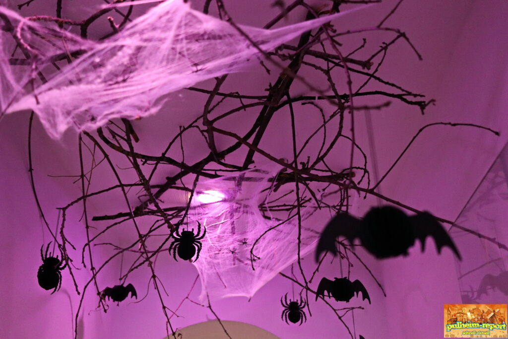 Spinnennetz mit Spinnen und Fledermäusen