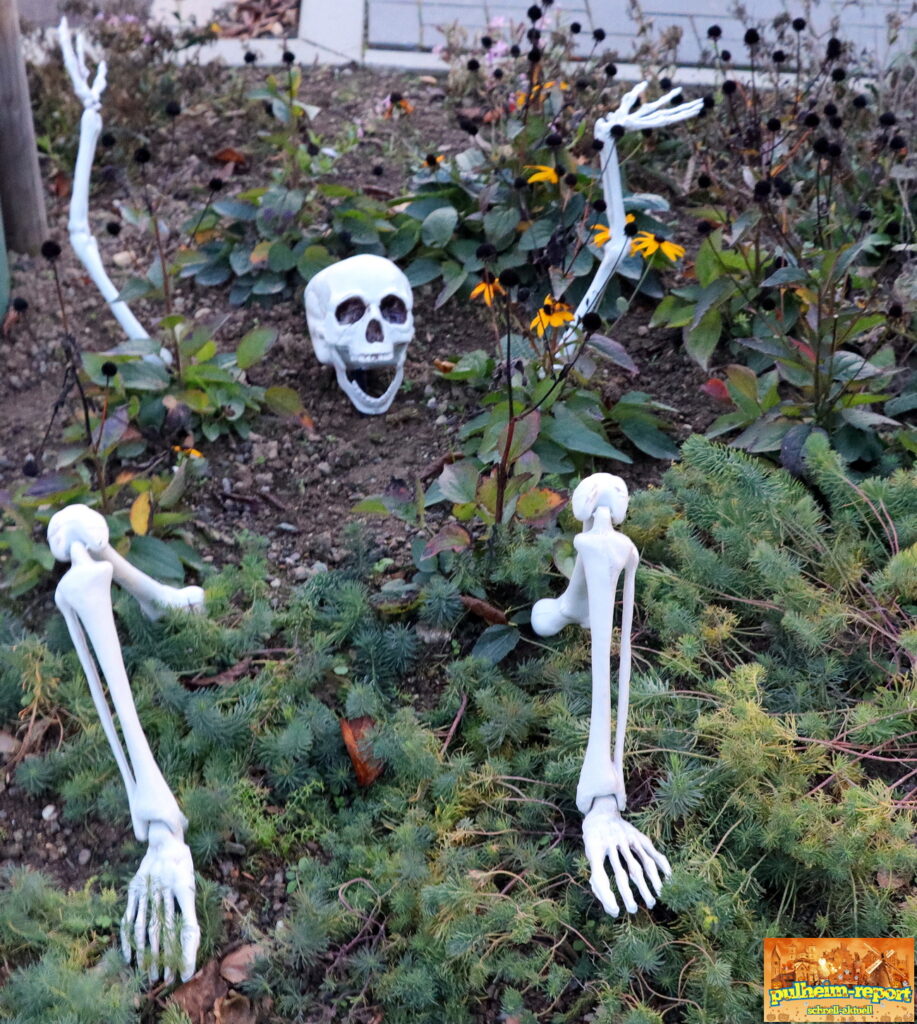 Gut gelauntes Skelett