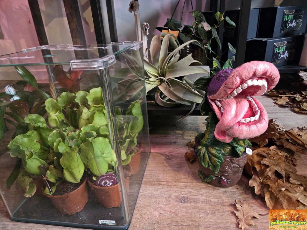 Es gab viele tolle Sachen zu entdecken.