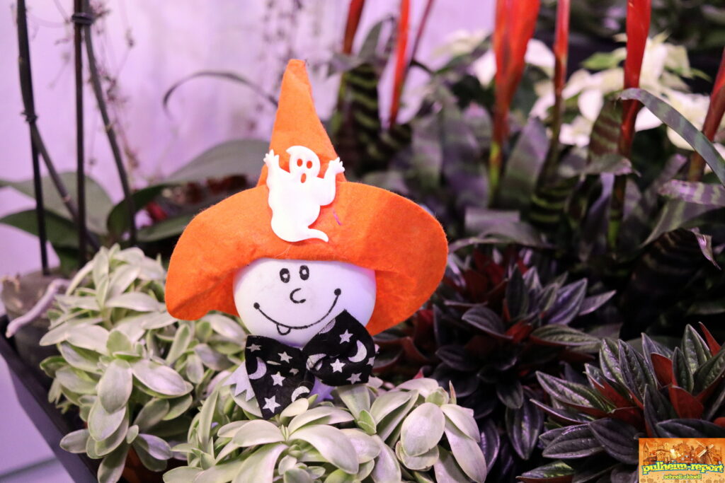 Einige Hexen waren auch mit dabei