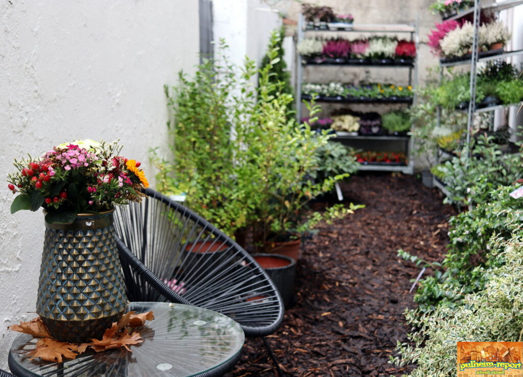 In einer Welt zwischen Pflanzen und...