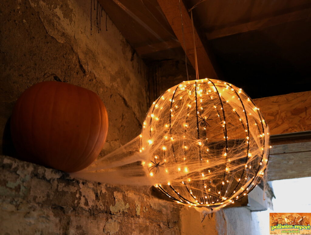 Spinnenbegegnung mit Beleuchtung