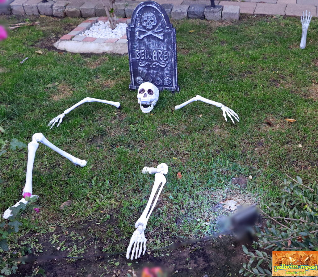 Skelette in Gärten sind zu Halloween keine Seltenheit.