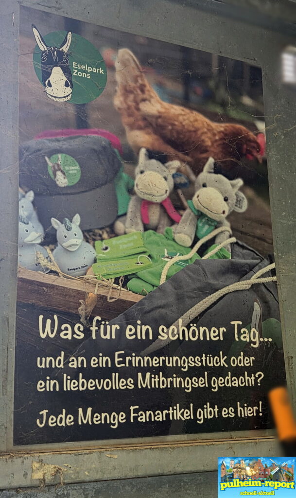 Ein Blick in den Merch-Shop lohnt sich auch