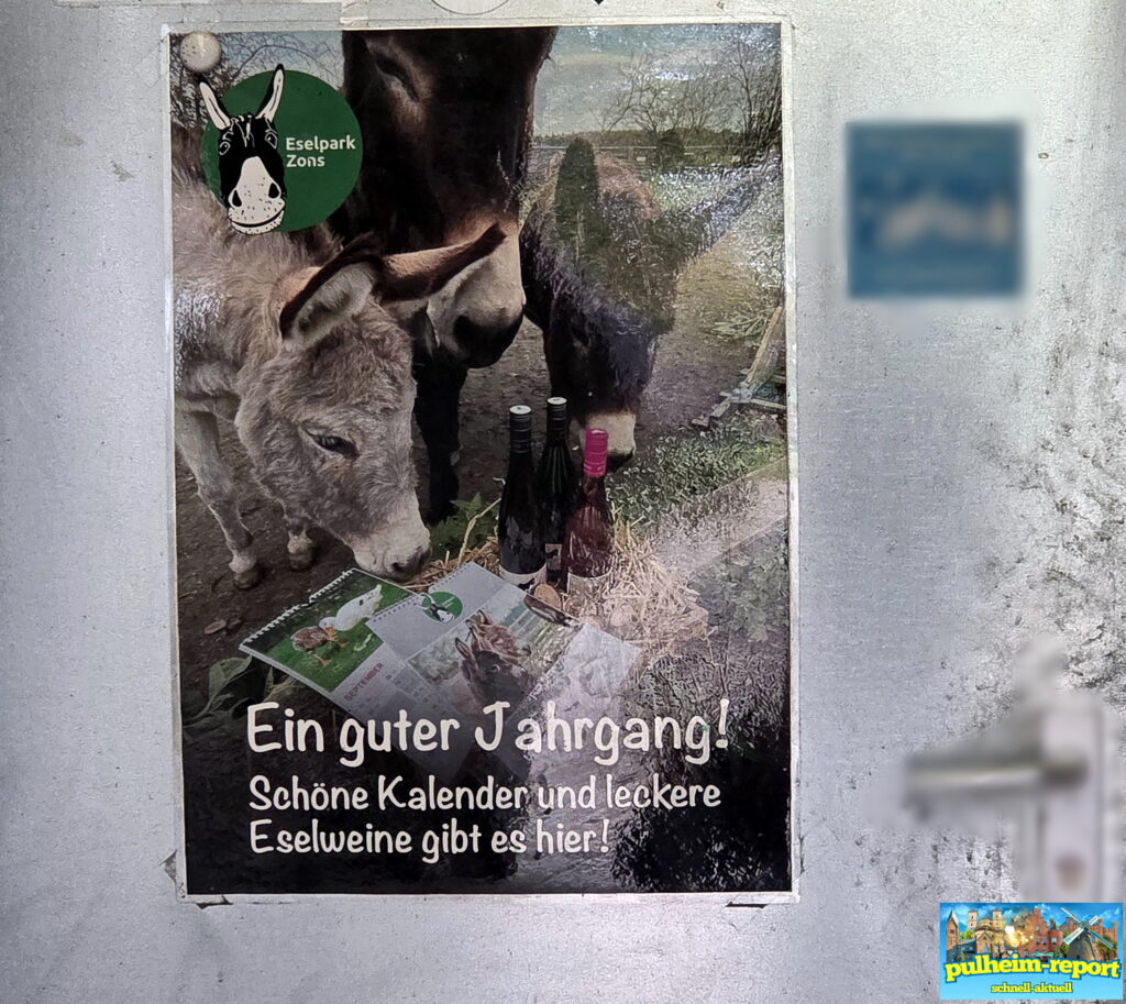 Ein Blick in den Merch-Shop lohnt sich auch