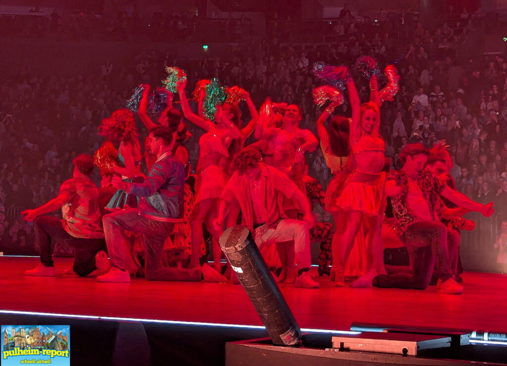 Die Promis und Profi-Tänzer