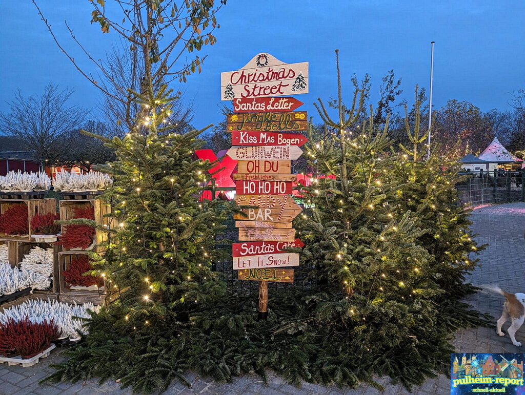 Neben dem Hundeweihnachtsmarkt war auch schon der Weihnachtspark fertig dekoriert und sorgte für festliche Stimmung.