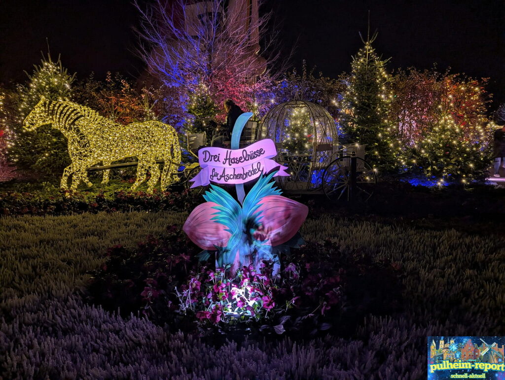 Es war eine festliche Atmosphäre und auch in diesem Jahr ein abwechslungsreiches Angebot auf dem Hundeweihnachtsmarkt.