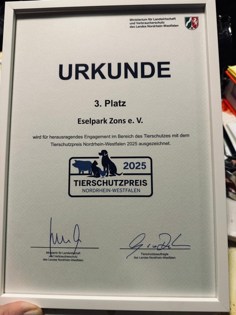Die Urkunde (Foto: Peter Norff)