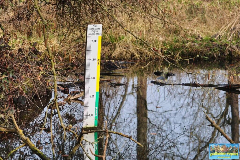 Pegel in der Großen Laache