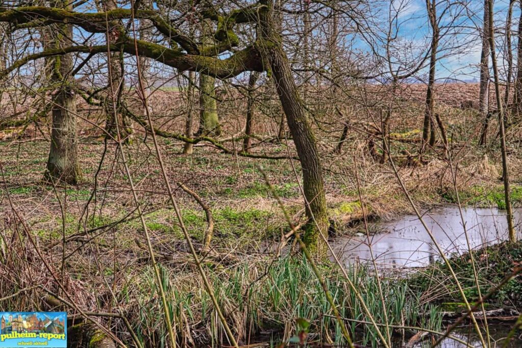 Pulheimer Bach und Große Laache sind grüne Oasen und Erholungsorte.