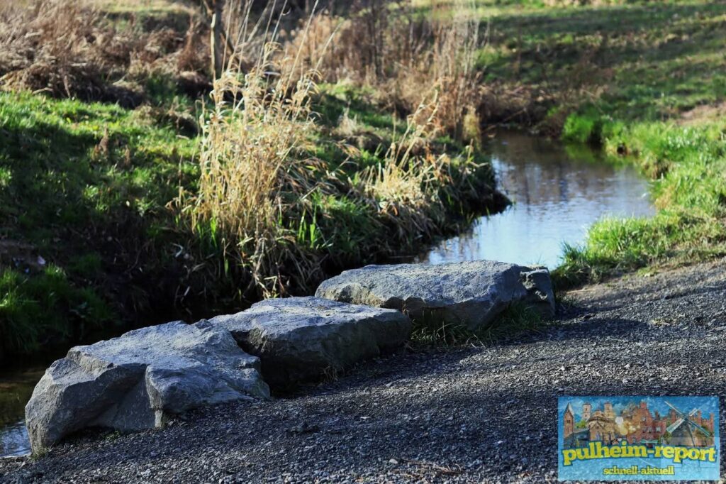 Was passiert mit dem Pulheimer Bachverband?